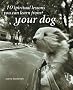 10 Spiritual Lessons You Can Learn from Your Dog