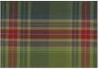 Durable Hand Woven 100% Cotton Green Plaid Table Mat 12x18 Inches Set / 6
