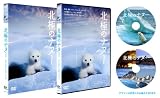 北極のナヌー プレミアム・エディション [DVD] 画像