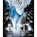 The World is Going to The Birds