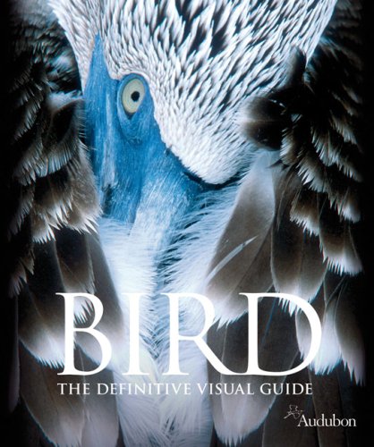 Bird under Animals in The Books Store