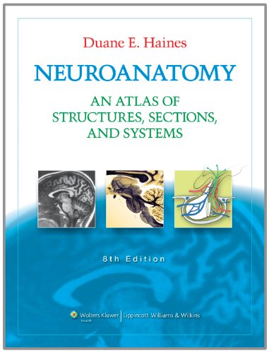 Neuroanatomy: An Atlas of Structures - Sections - and Systems (Neuroanatomy: An Atlas of Strutures - Sections - and Systems (Haines))