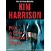 For a Few Demons More (The Hollows, Book 5)