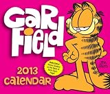 Garfield 2013 Day-to-Day Calendar