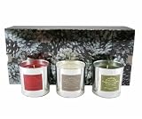 Voluspa Seasons Festive Fragrance Gift Set