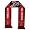 Texas Tech Red Raiders
