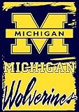 Michigan Wolverines NCAA Vertical Team Banner