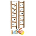 Roommates Bob The Builder Growth Chart