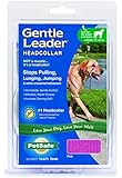 Petsafe - Premier Pet Gentle Leader Dog Headcollar / Head Collar (Pink, Large)