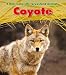 Book cover for 9781432947392