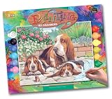 Review KSG 44 / Senior Paint by Numbers Bassett Hound
