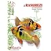 Ramirezi (le)