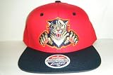 Florida Panthers NEW Vintage Snapback Hat