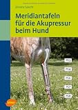 Meridiantafeln für die Akupressur beim Hund