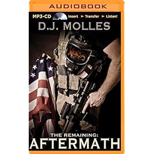 Aftermath (The Remaining)