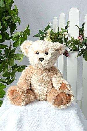 51OZTz85mlL 15 Old Fashion Bear Make Your Own *NO SEW* Stuffed Animal Kit