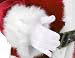 Click to Enlarge Image 51OZUXRpQXL. SL75 Santa Claus Costume