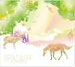 Shining Covers