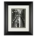 Moonlit Canal Framed Print - 13x11