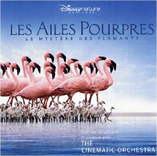 Produkt-Bild: Ailes Pourpres [Crimson Wing]