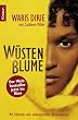 W�stenblume - Buch zum Film