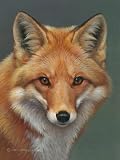 Red Fox Plush Raschel Queen Size Super Soft Blanket 79x95