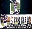 2009 Score Minnesota Vikings Complete Team Set of 11 cards !!