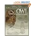 The Illustrated Owl: Screech & Snowy: The Ultimate Reference Guide for Bird Lovers, Woodcarvers, and Artists (The Denny Rogers Visual Reference series)