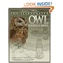 The Illustrated Owl: Screech & Snowy: The Ultimate Reference Guide for Bird Lovers, Woodcarvers, and Artists (The Denny Rogers Visual Reference series)