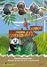 Panda, Gorilla & Co. - Junior