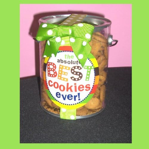 The Absolute BEST Cookies Ever-Choco Chip