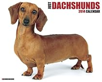 Just Dachshunds 2014 Wall Calendar