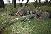 Scope Sniper
51OaBt pt6L. SL75 Scope Sniper