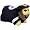 Pittsburgh Steelers