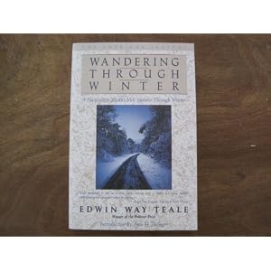 Wandering Through Winter
