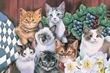 Kitten Floor Cat Door Mat Indoor Outdoor