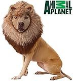 California Costume Collections Animal Planet Lion Dog Costume, Large