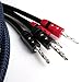 AudioQuest Type 4 Star Quad Gold BFA Speaker Cables - 6 ft. (1.82m) - 2-Pack