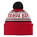 NFL Boys 8-20 Cuffed Knit Hat with Pom