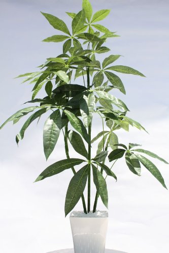 【送料無料】人工観葉植物/パキラ光触媒品コストゼロの空気清浄機