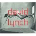 David Lynch