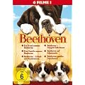Beethoven 1-6 [6 DVDs]