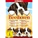 Beethoven 1-6 [6 DVDs]