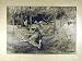 1896 Deer-Hunt Trap Animals Hunting Reprieve Print