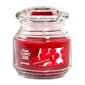 Yankee Candle&reg; Home Classics Jar Candle - Cinnamon Candy (7 oz)