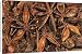 Canvas Prints of JLMO-1924 STAR ANISE - close-up of seeds from Ardea Wildlife Pets