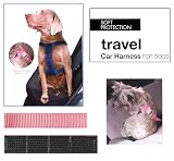 (Classic) Soft Protection Car Harness (Medium) (Pink)
