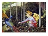 Angel Feeding a Peacock, Detail from the Journey of the Magi Cycle in the Chapel, c. 1460 Stretched Canvas Poster Print