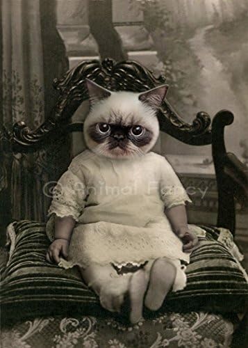 Cat Art Print - "Zack"