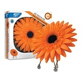 51ObdezK5SL. SL160  BRIGHT AIR  Air Freshener, Nectar